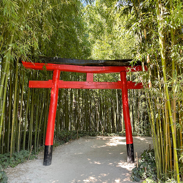 La Bambouseraie en Cévennes
