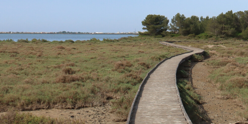 Bois des Aresquiers